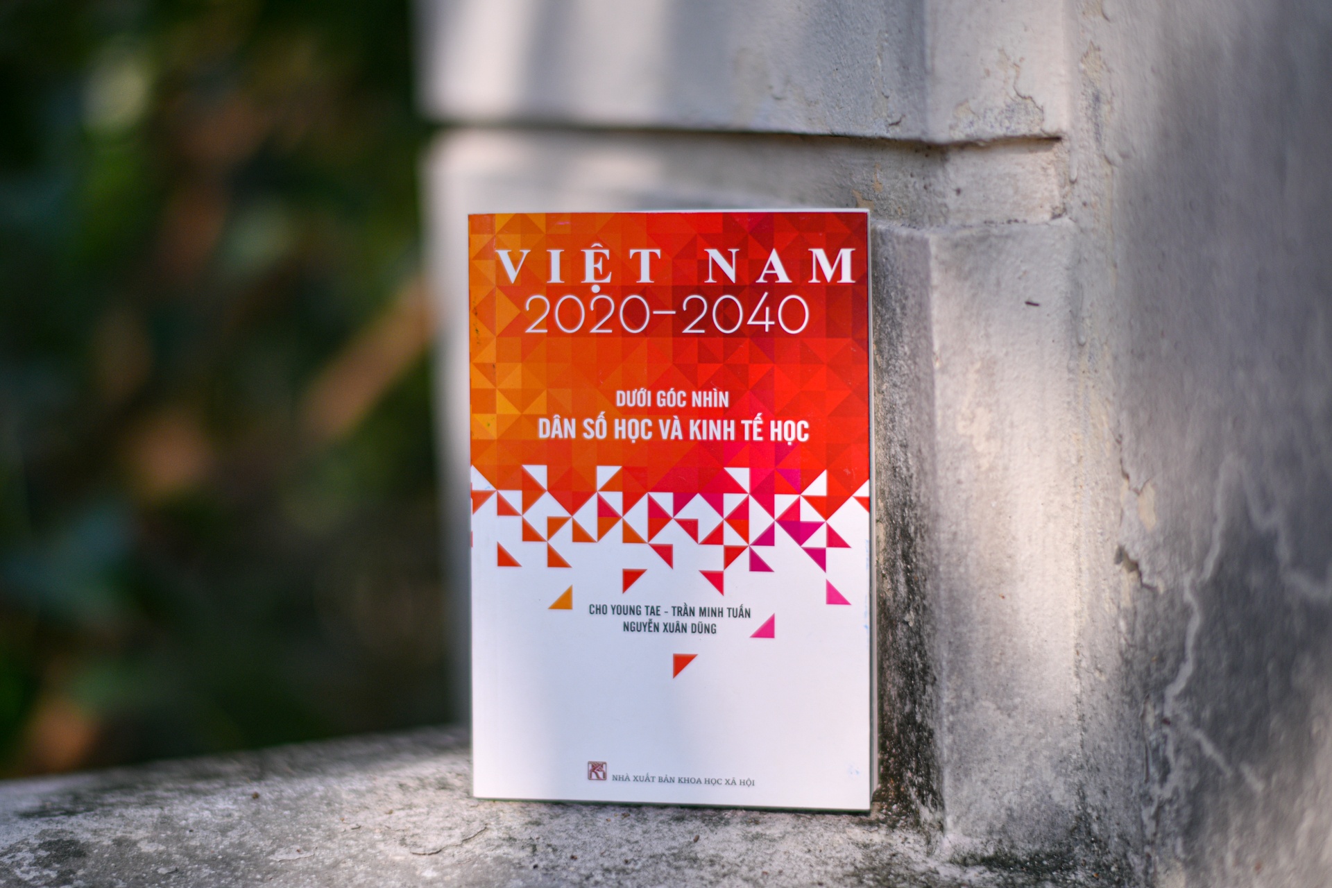 Chinh sach dan so va kinh te quyet dinh tuong lai Viet Nam hinh anh