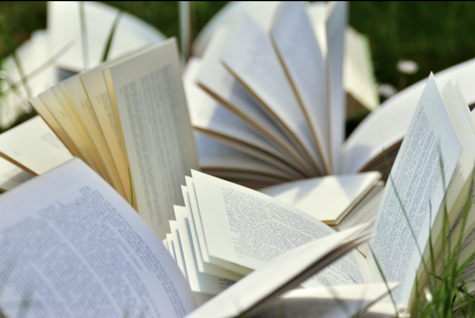 Luong sach moi nhieu gay ton dong, hon loan kho sach o Phap hinh anh