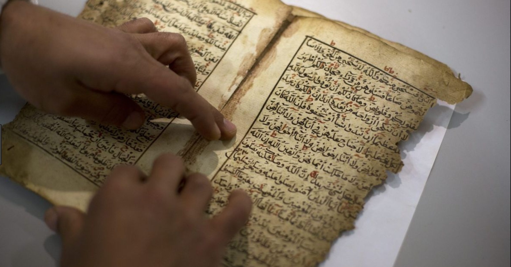 ngay dich thuat anh 1