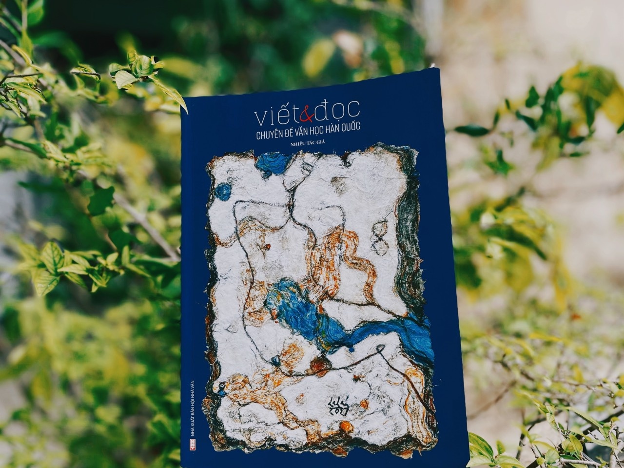 Mo ra canh cua den voi van chuong Han Quoc hinh anh