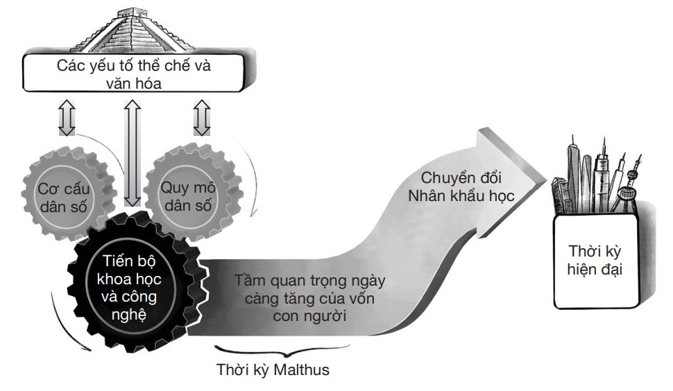 phat trien van hoa anh 1