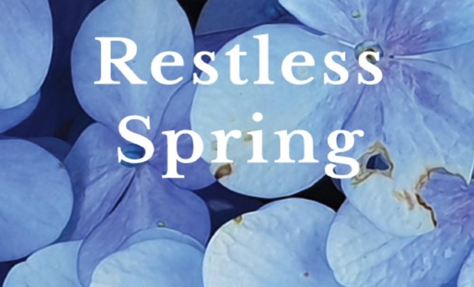 Tho Viet Nam duoc dich va xuat ban o nuoc ngoai hinh anh