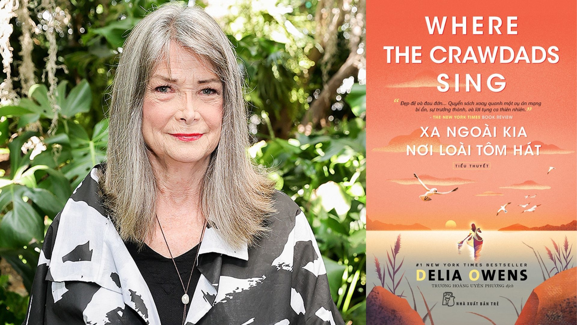 sach ve co don anh 2