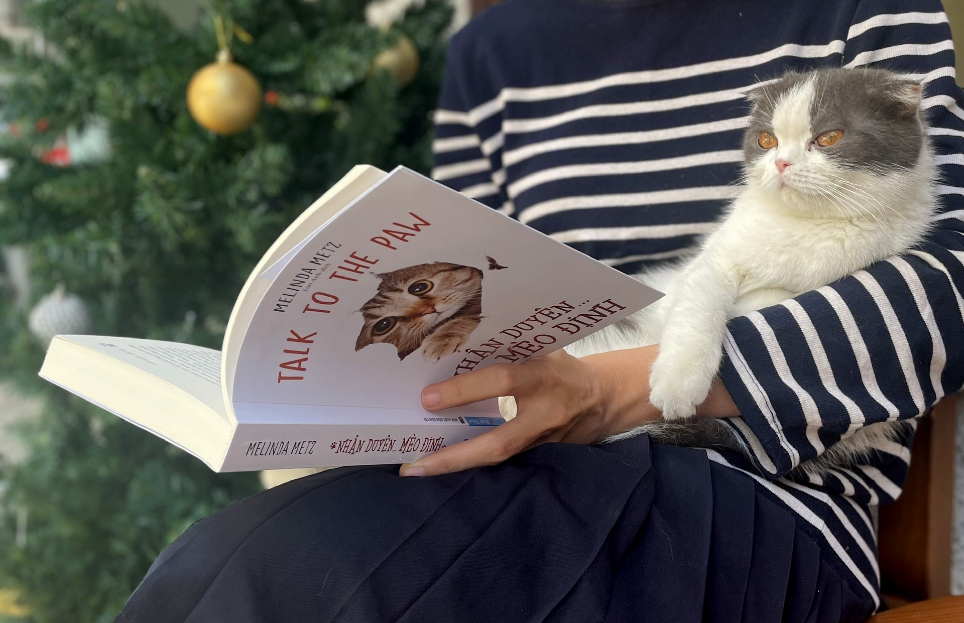 Phi vu mai moi cua chu meo long soc hinh anh