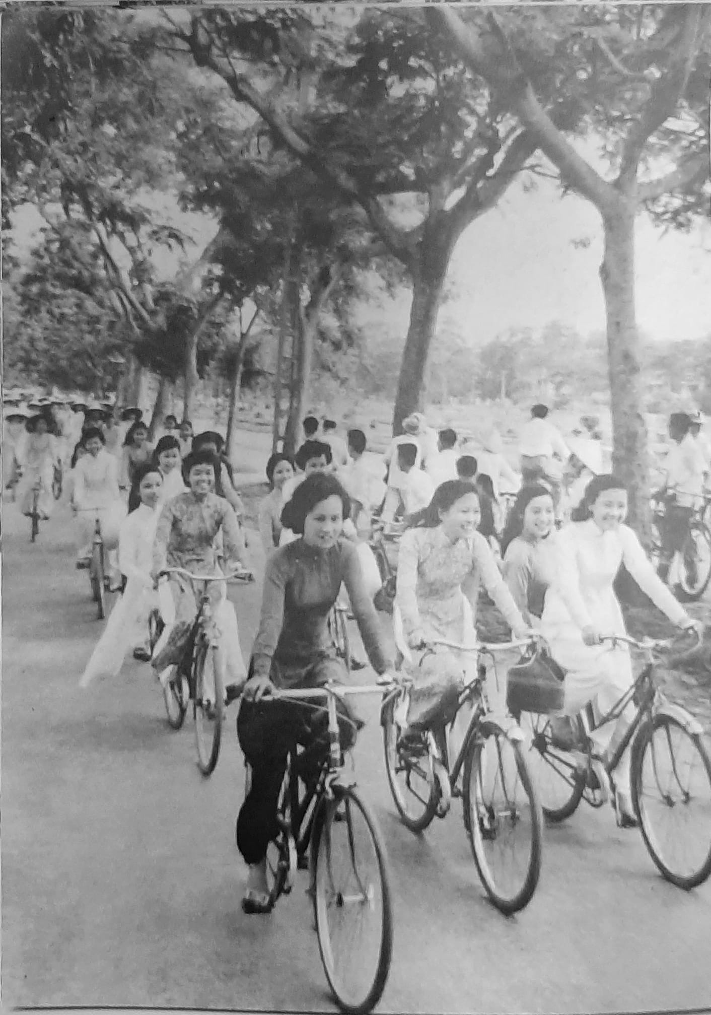 van hoa xe dap anh 1