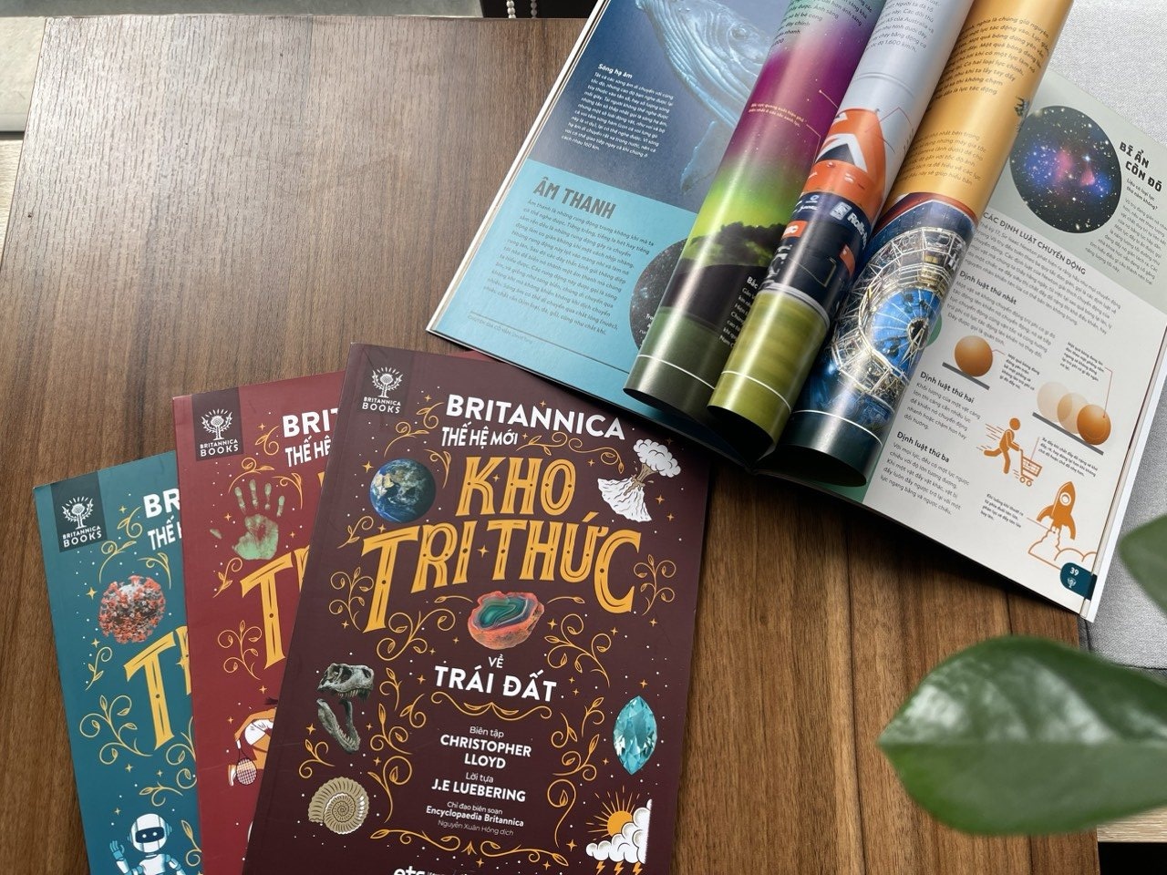 Bach khoa tri thuc cho the he moi hinh anh