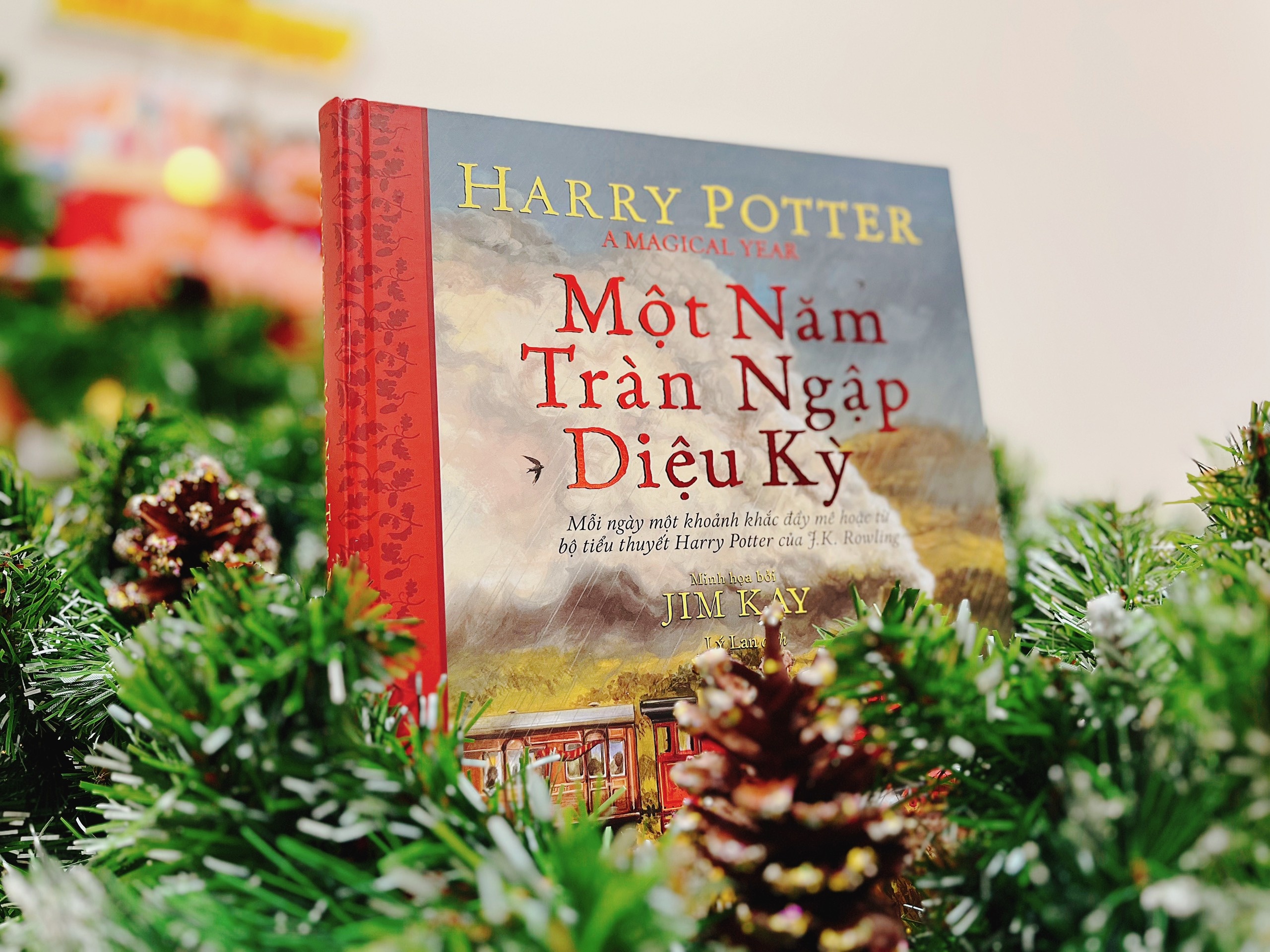 Mot nam dieu ky cung 'Harry Potter' hinh anh
