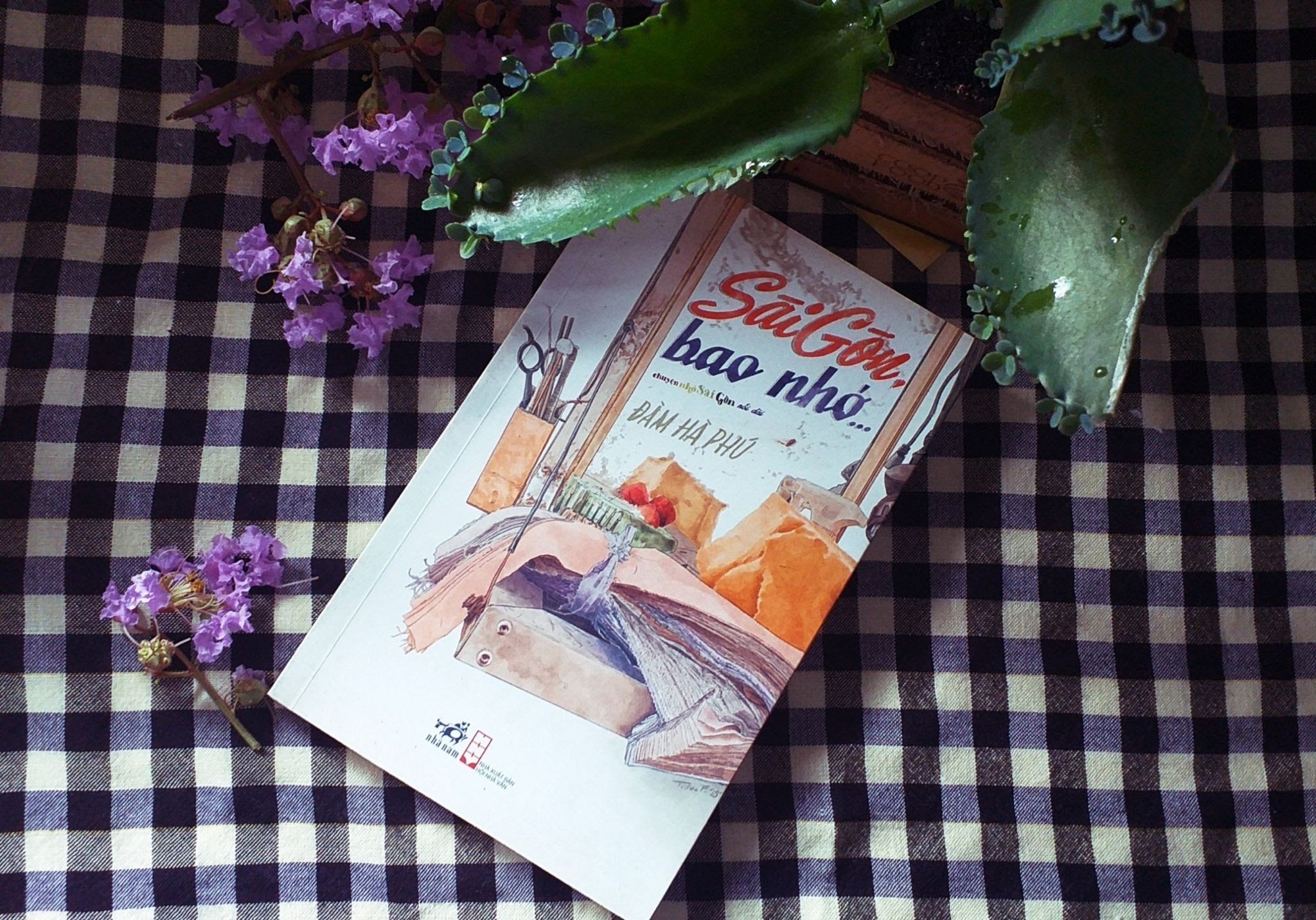 Bao nho chat Sai Gon hinh anh