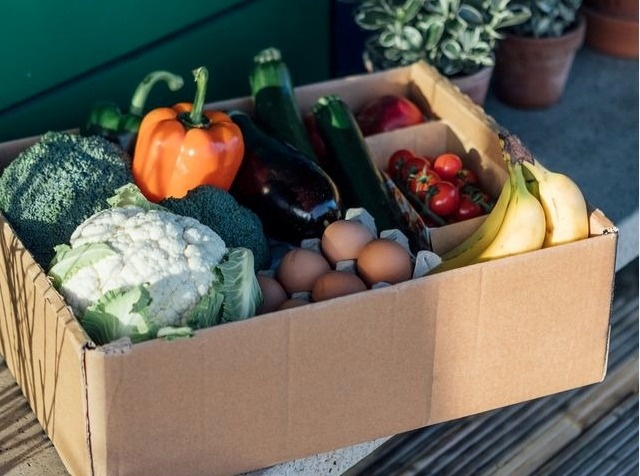 Tu trong hoa qua den dieu hanh tap doan ty USD hinh anh