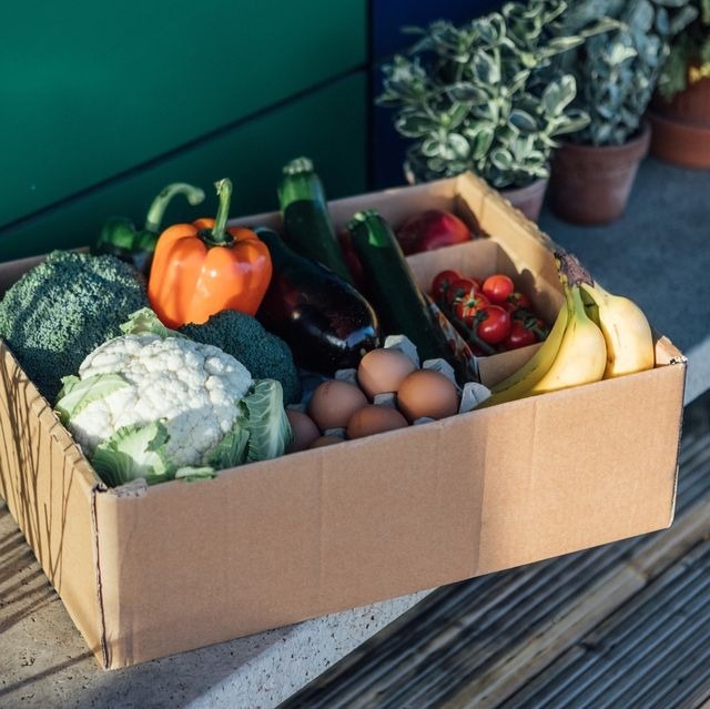 bao ve moi truong anh 1