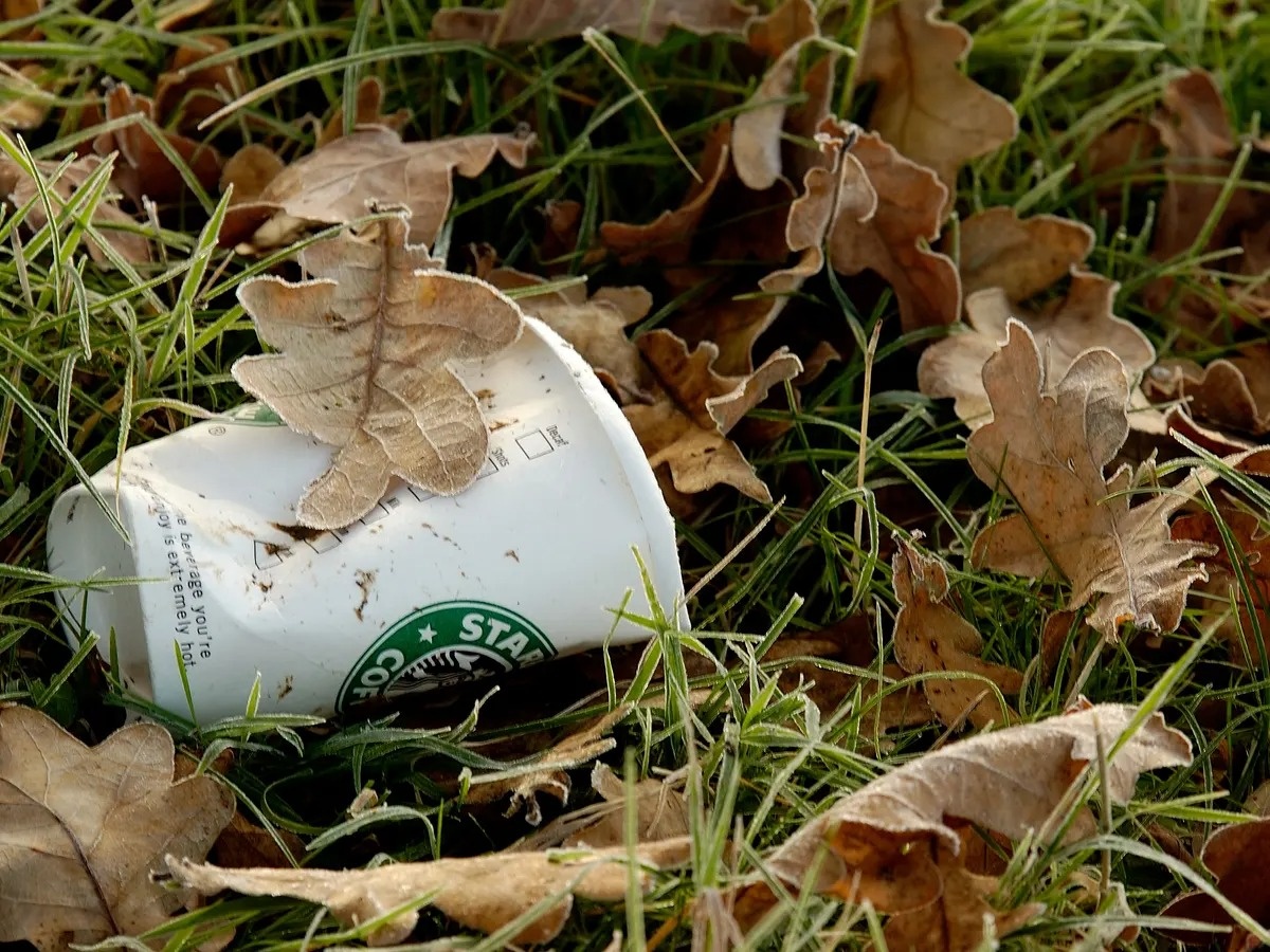 Tim giai phap thay the coc dung mot lan hinh anh