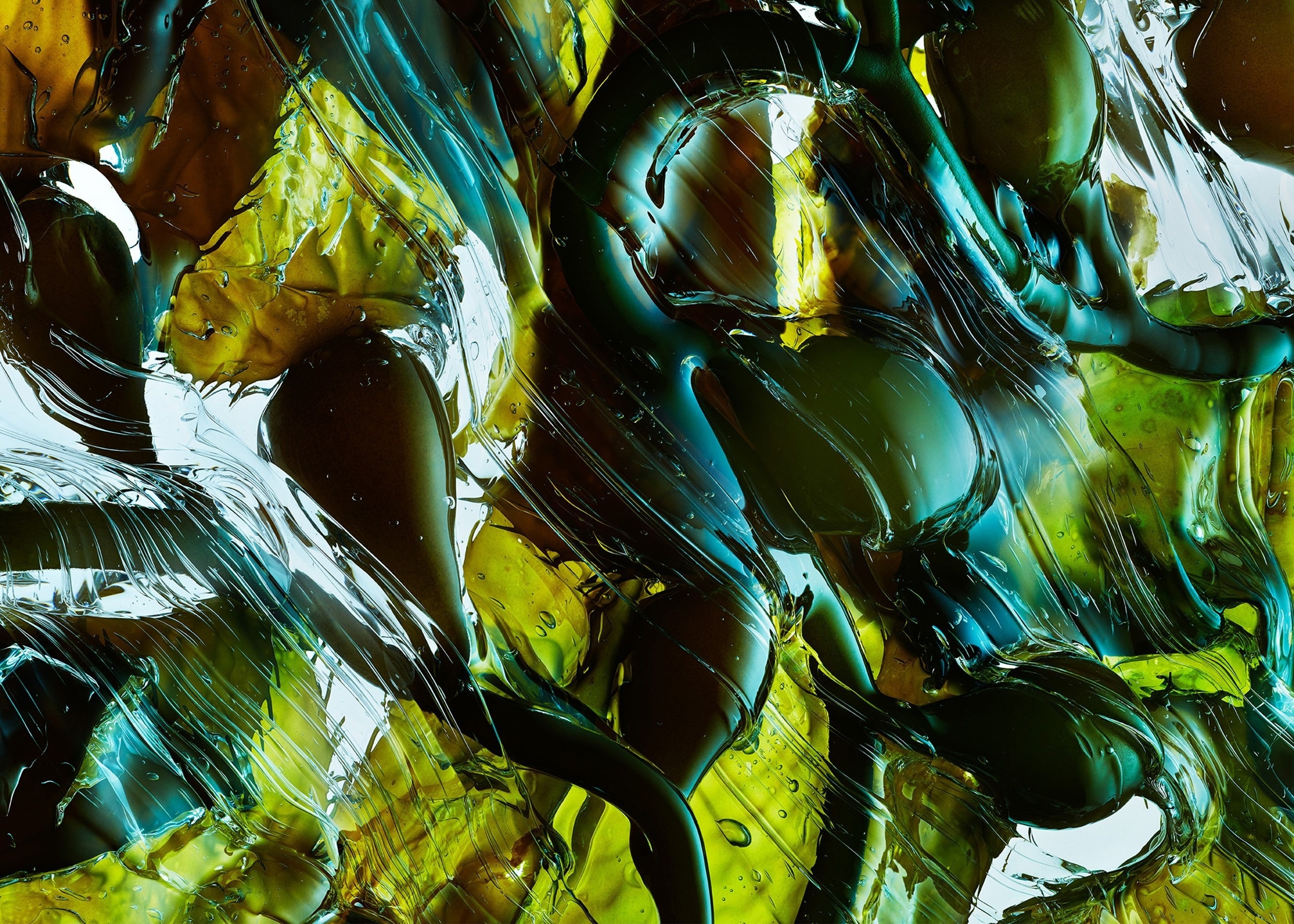 Quan ao lam tu nguyen lieu thuc vat hinh anh