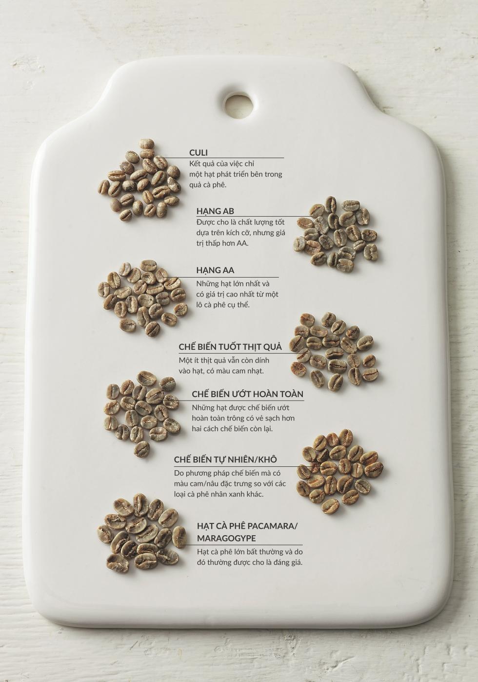 phan loai ca phe anh 1