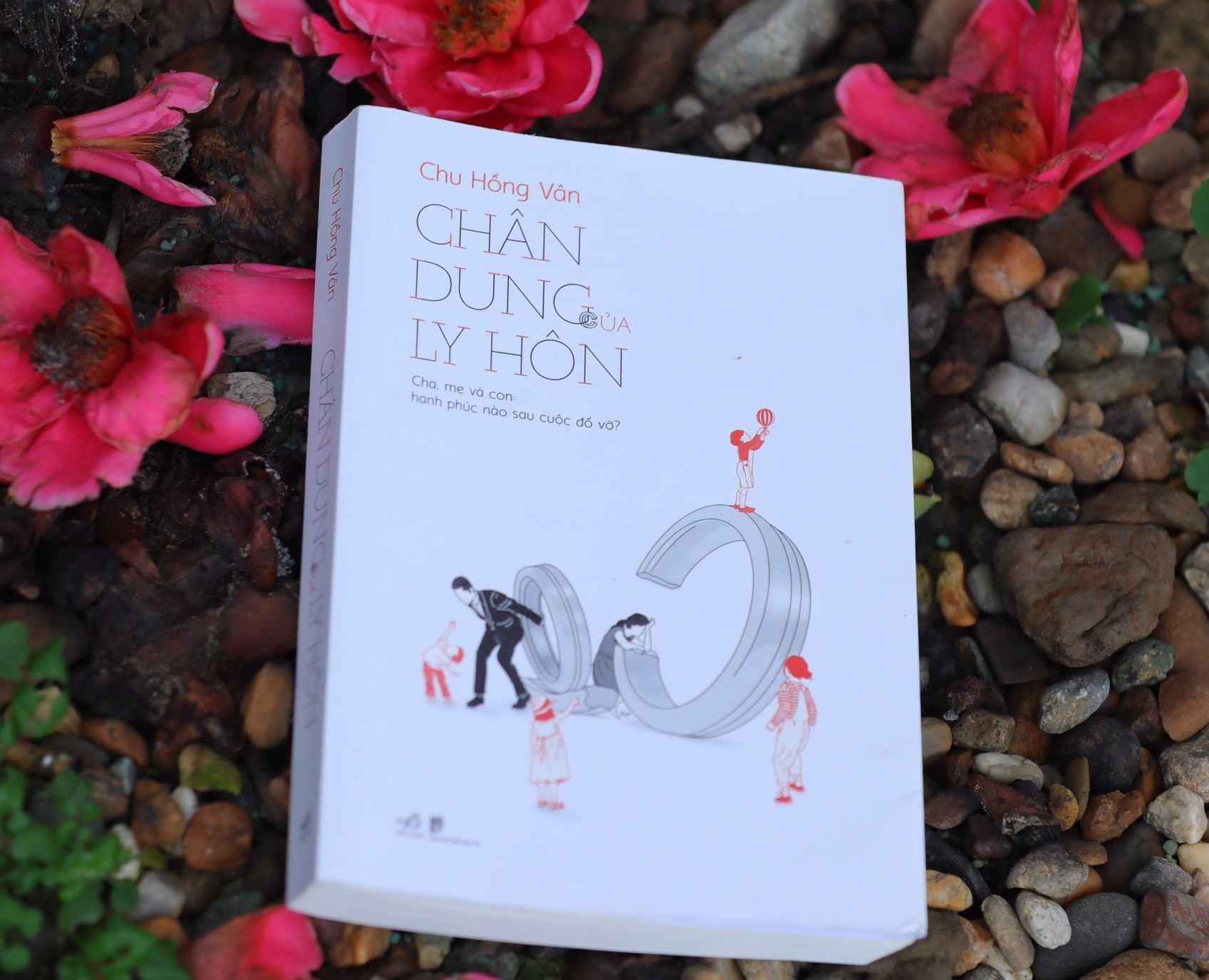 Ly hon van minh: nhu chua he co cuoc do vo hinh anh