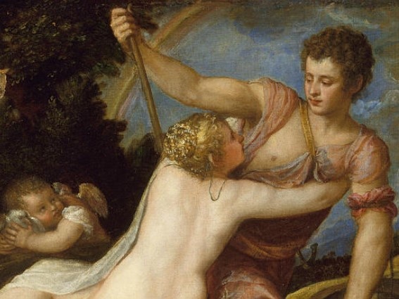 Su hap dan gioi tinh thong qua nhung dac tinh sinh duc hinh anh