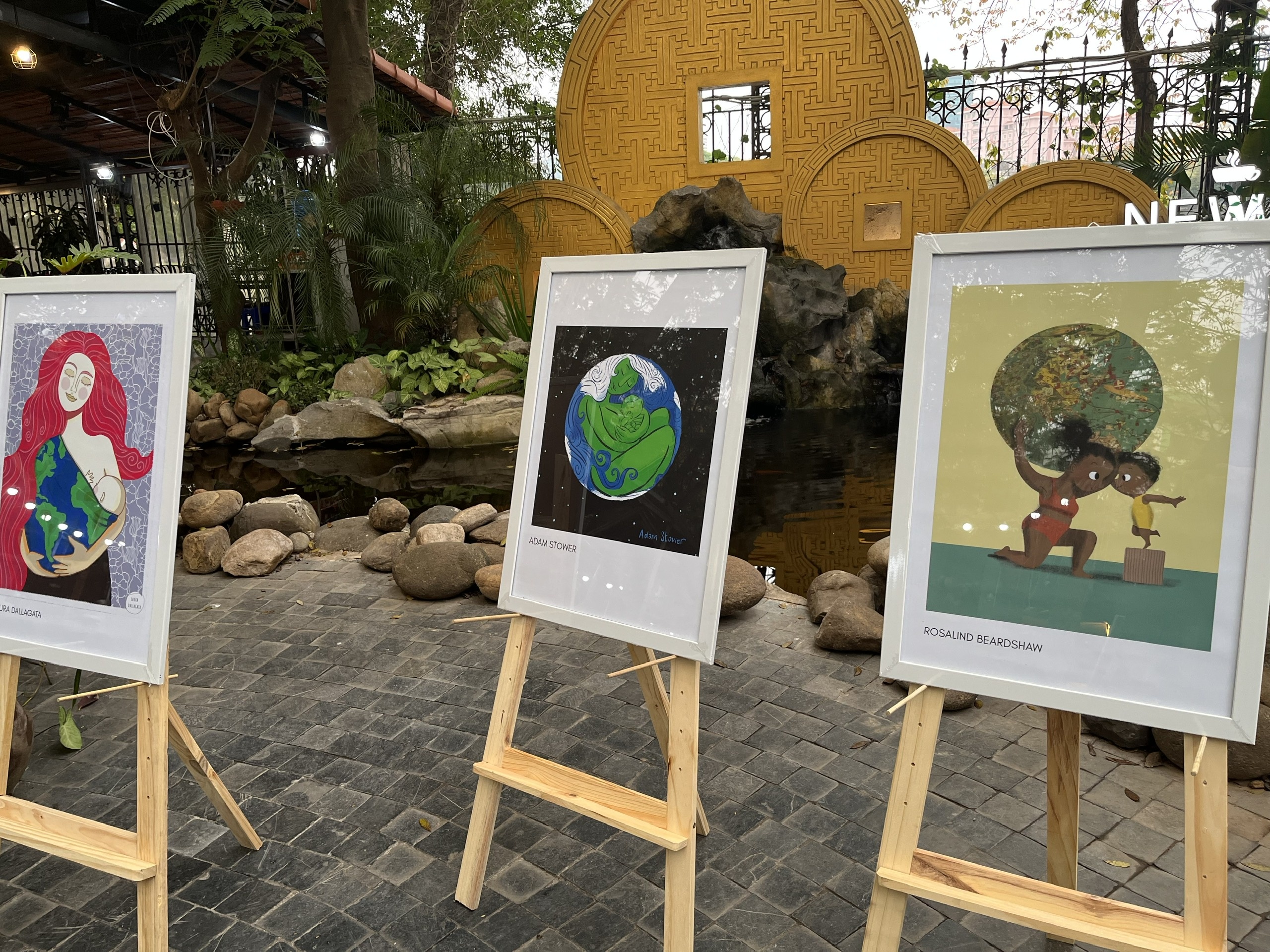 rừng ngập mặn ảnh 5 rung ngap man anh 5