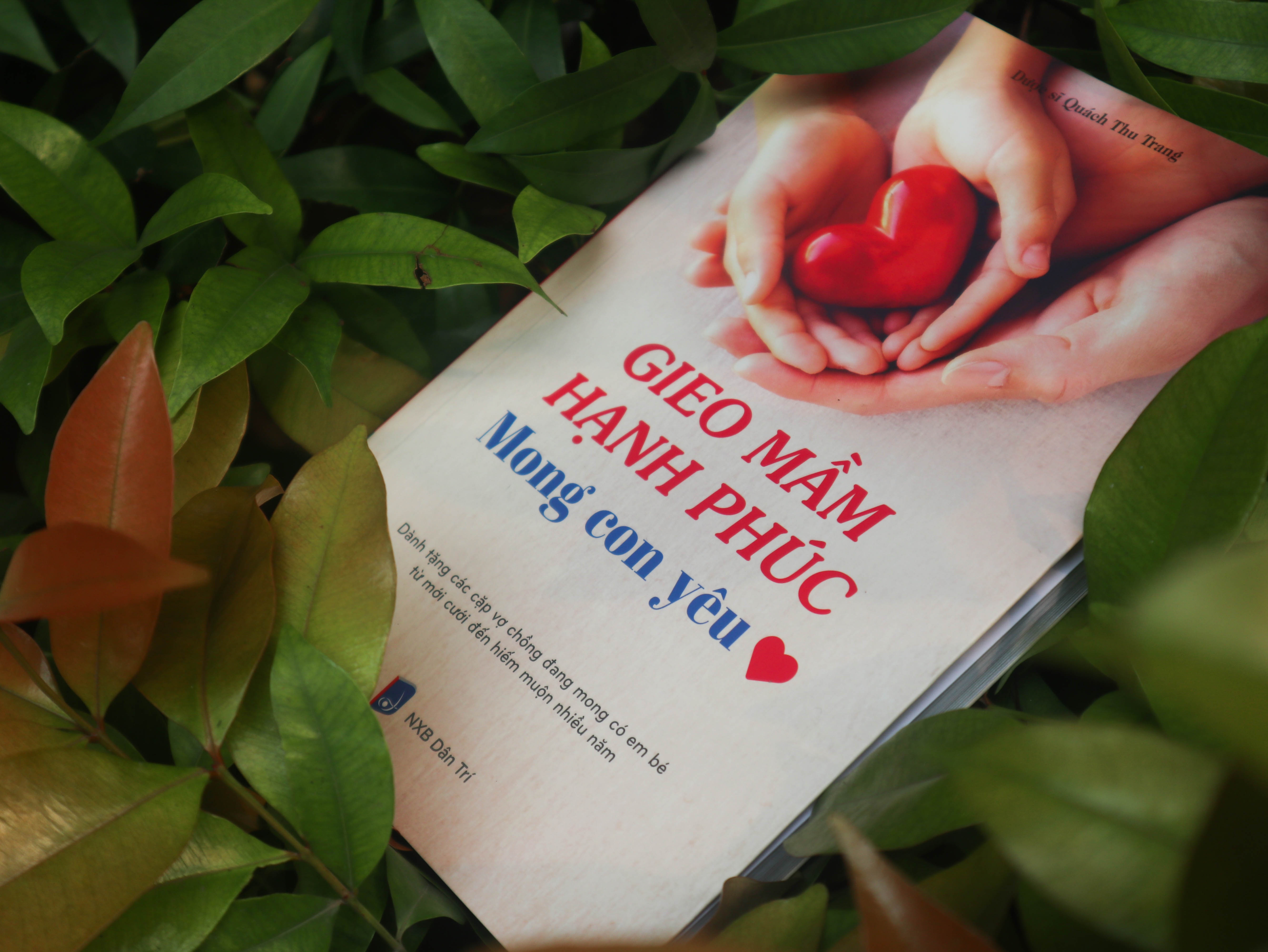 Suc khoe sinh san anh 2