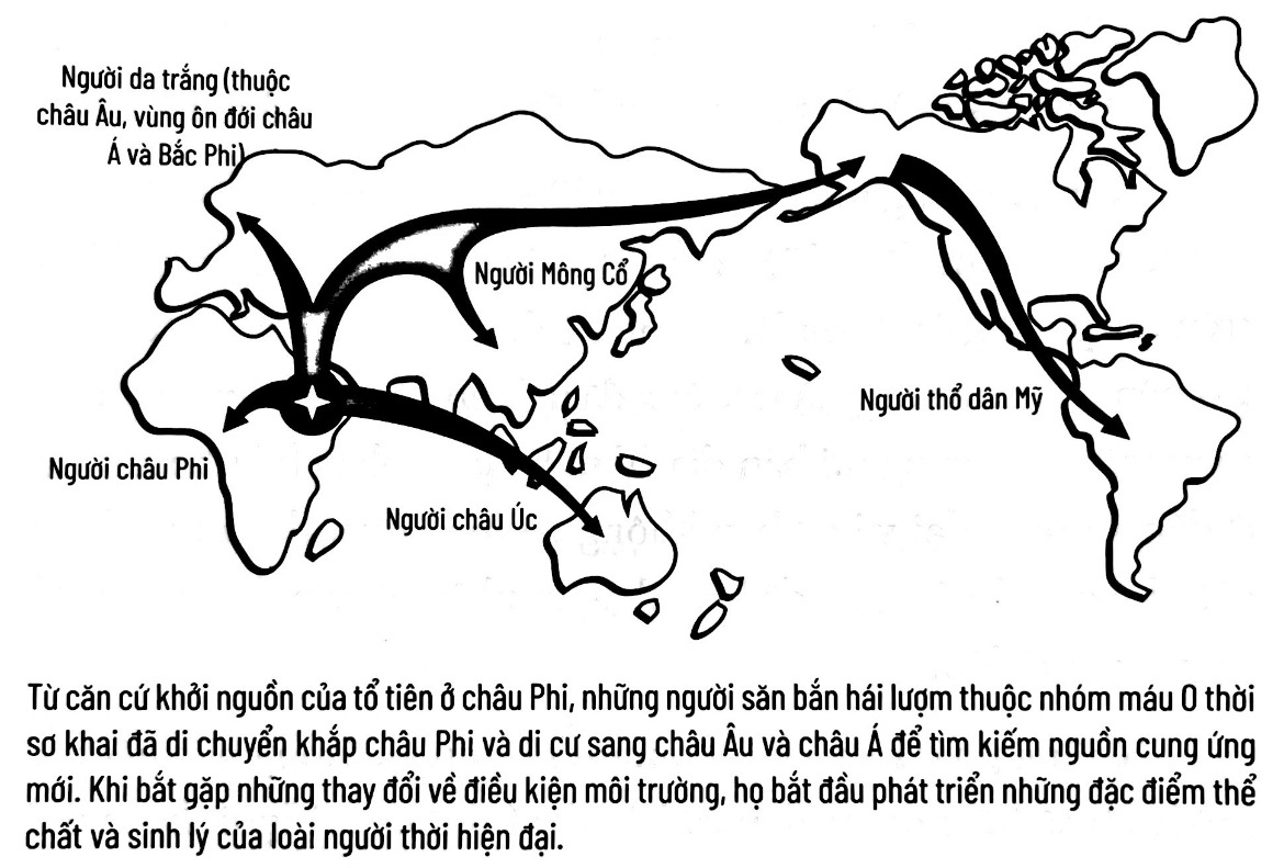 nhom mau co nhat anh 2