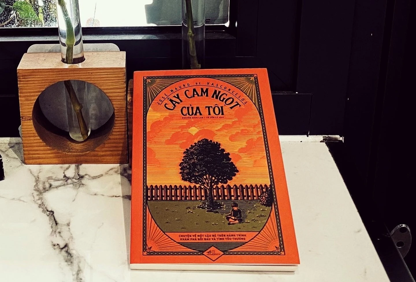 Toi khoc len khoc xuong khi doc 'Cay cam ngot cua toi' hinh anh