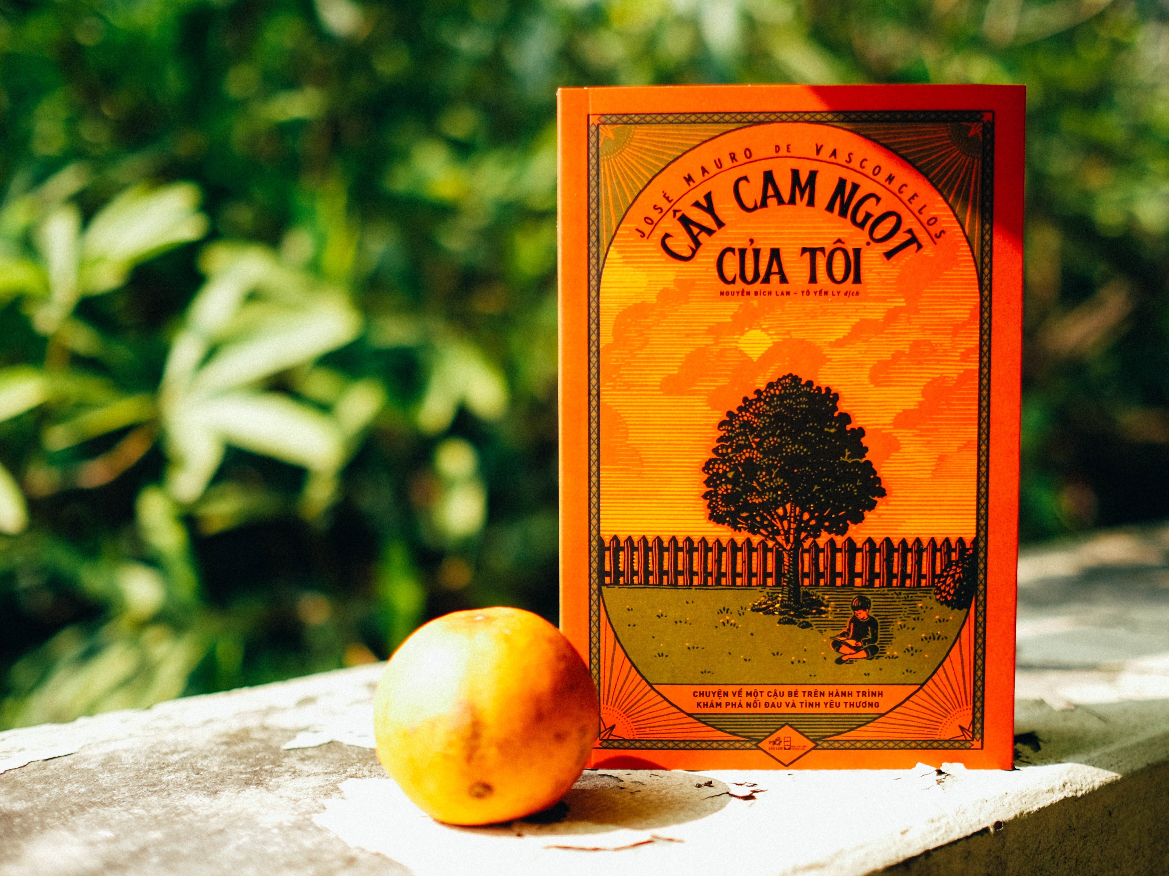 sach cho tre em anh 3