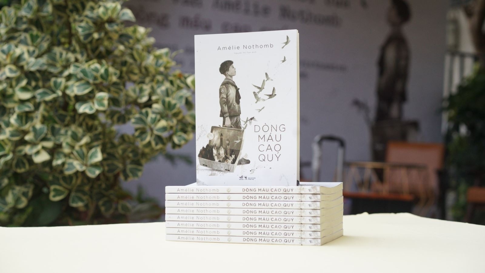 Dong mau cao quy anh 1