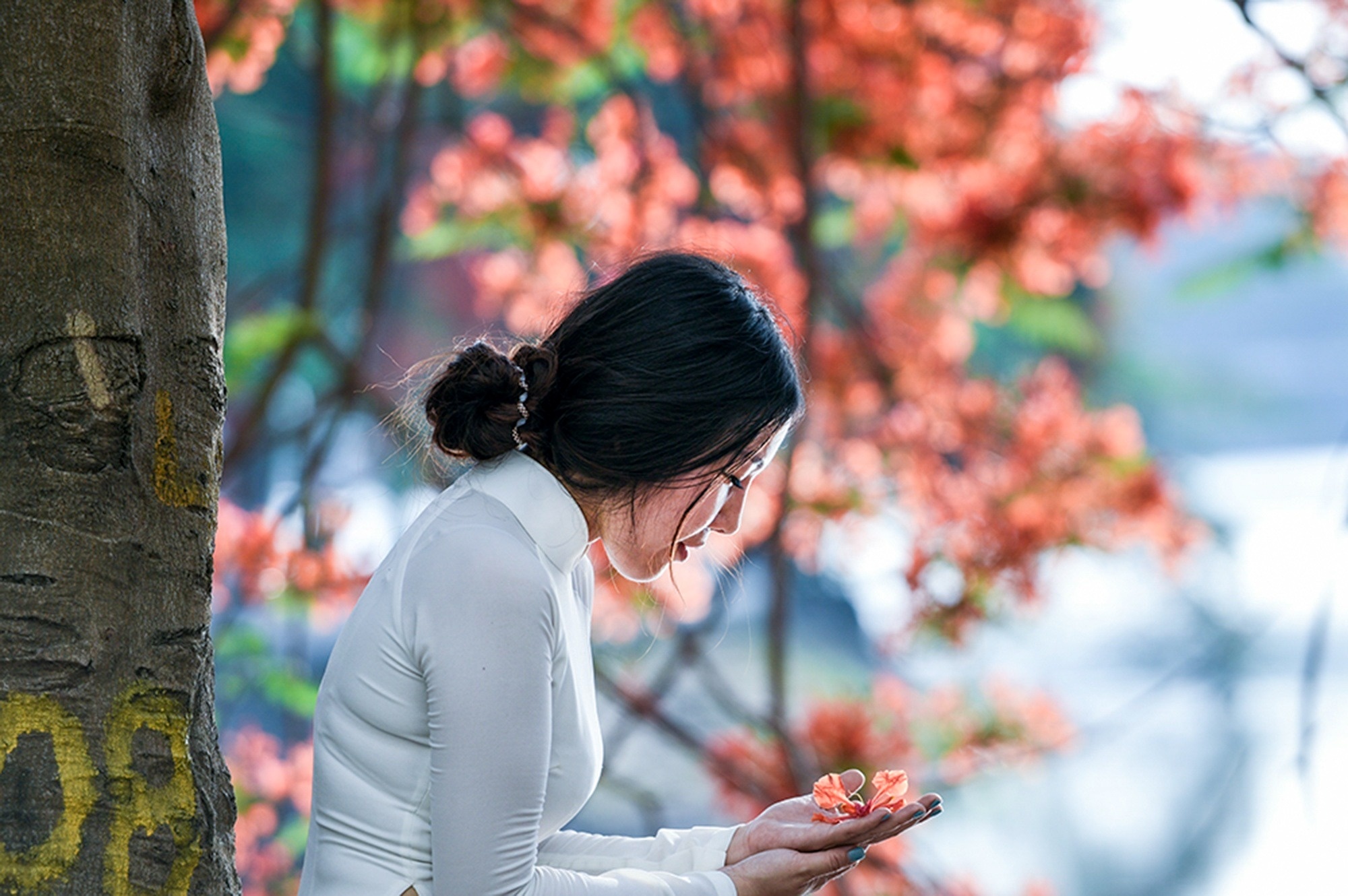 Moi mua hoa do ve, hoa nhu mua roi roi... hinh anh
