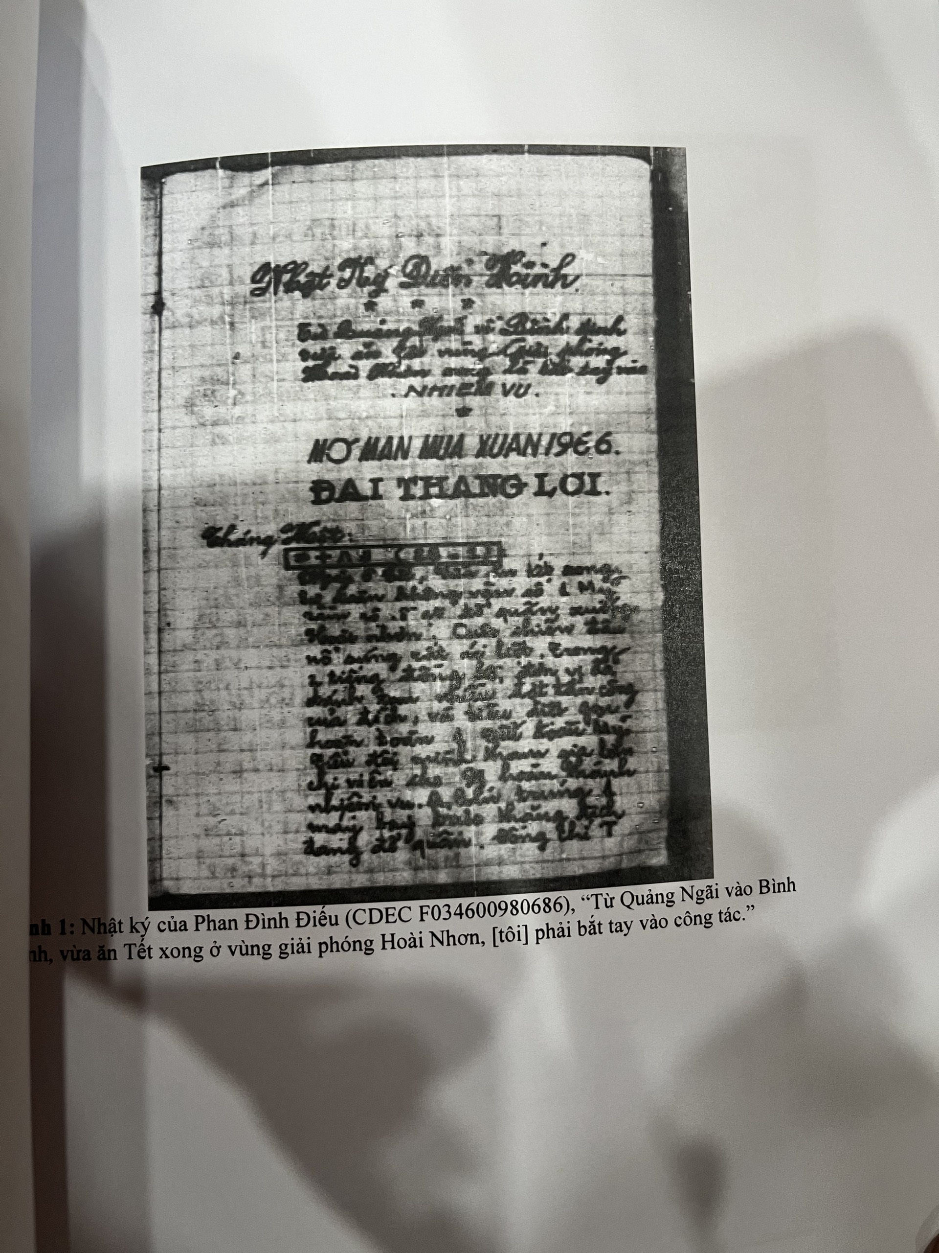 trao tra di vat anh 4