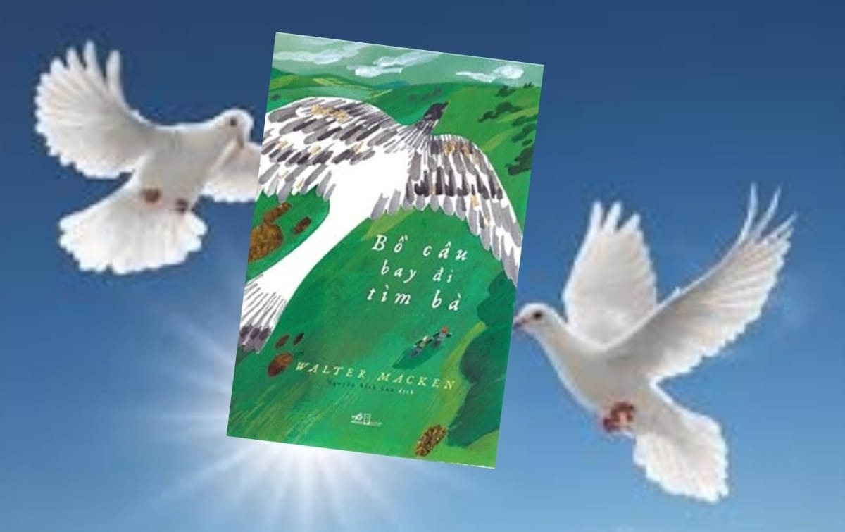 Vuon co tich dieu ky trong 'Bo cau bay di tim ba' hinh anh