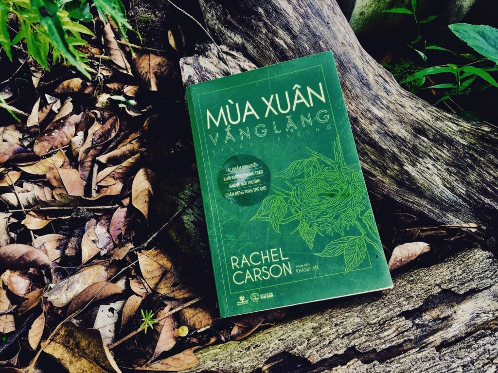 'Mua xuan vang lang' de lai an tuong sau trong toi hinh anh