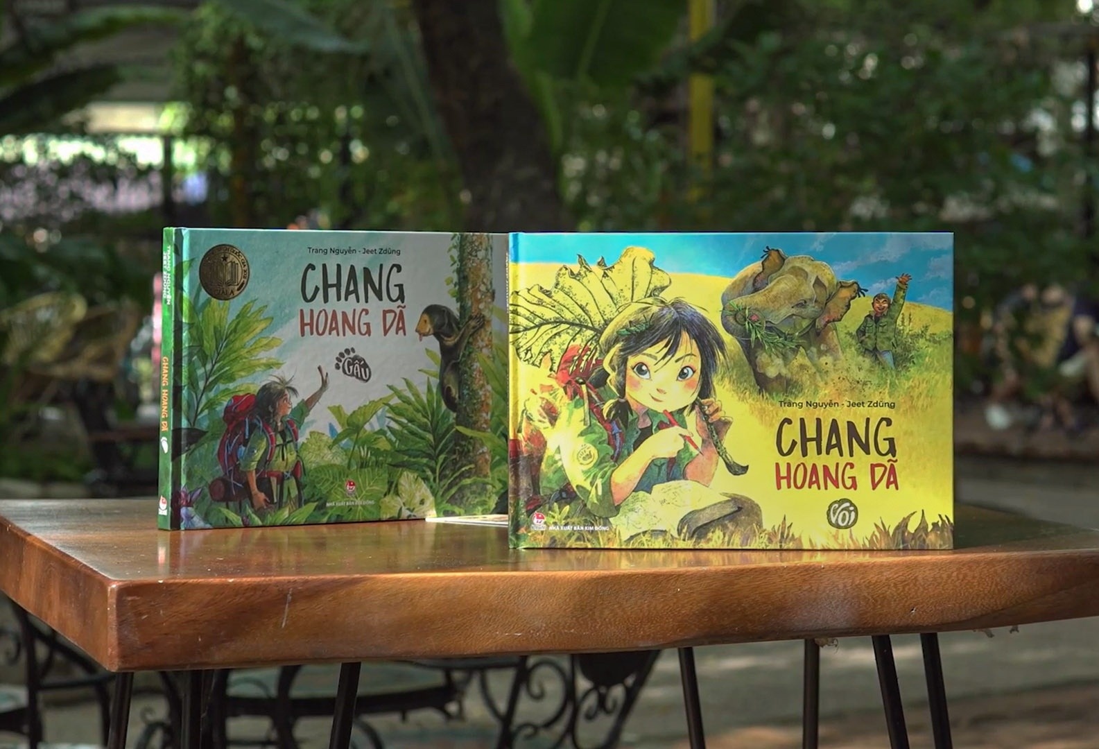 tieu thuyet do hoa anh 1