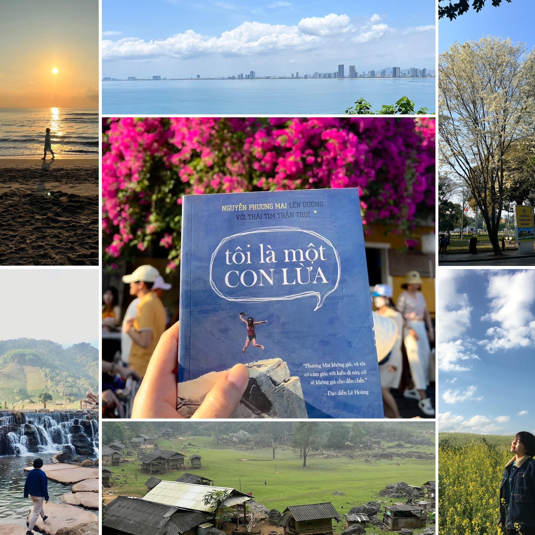 'Toi la mot con lua' thoi thuc toi len duong kham pha hinh anh