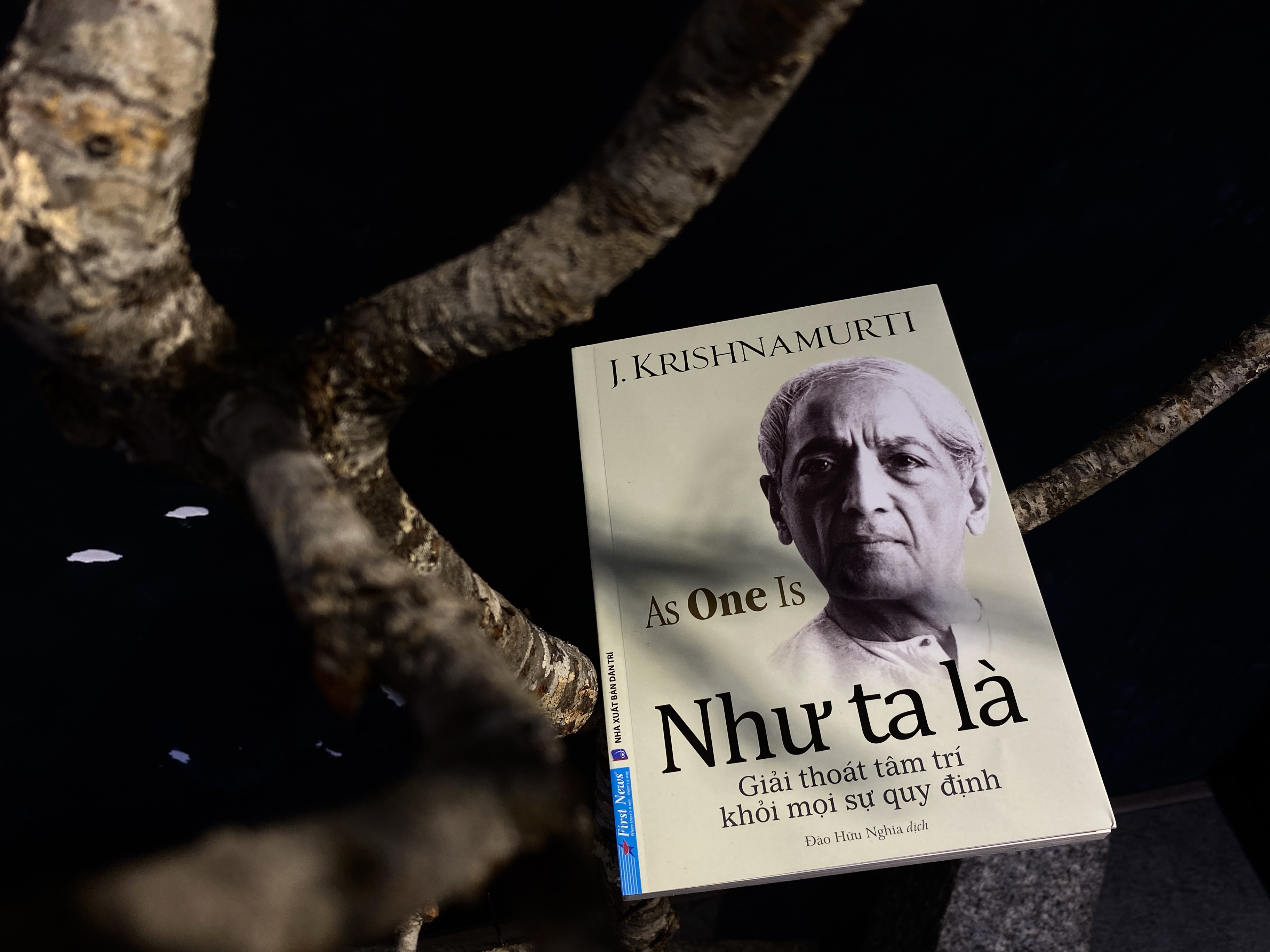 Cuoc cach mang nen tang cua tri nao theo quan diem cua triet gia hinh anh