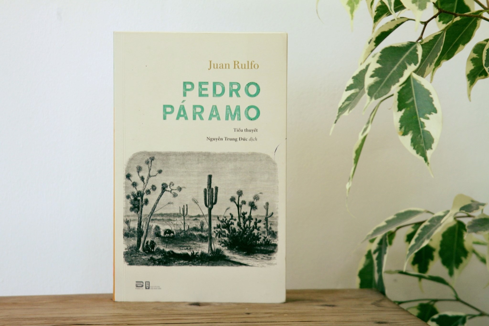 Cau chuyen ma truyen cam hung viet nen 'Tram nam co don' hinh anh