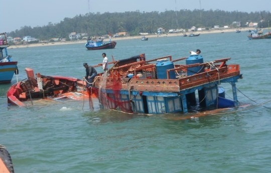 ‘Dam chim tau ca Viet Nam la hanh dong khung bo’ hinh anh