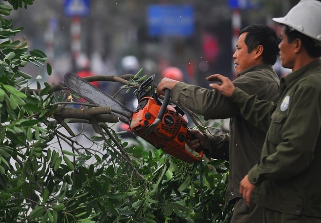 Chu tich Ha Noi phan hoi thu ngo cua nha bao Tran Dang Tuan hinh anh