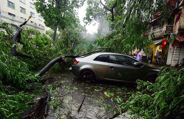 Ung pho voi dong loc nhu the nao? hinh anh