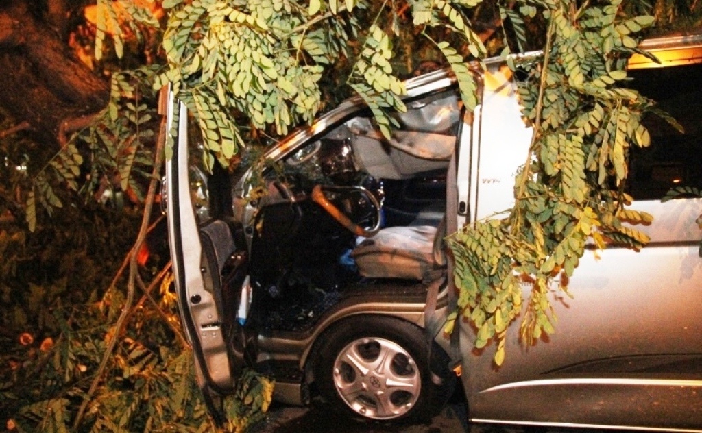 Gio giat manh quet qua Sai Gon, 3 nguoi bi thuong hinh anh