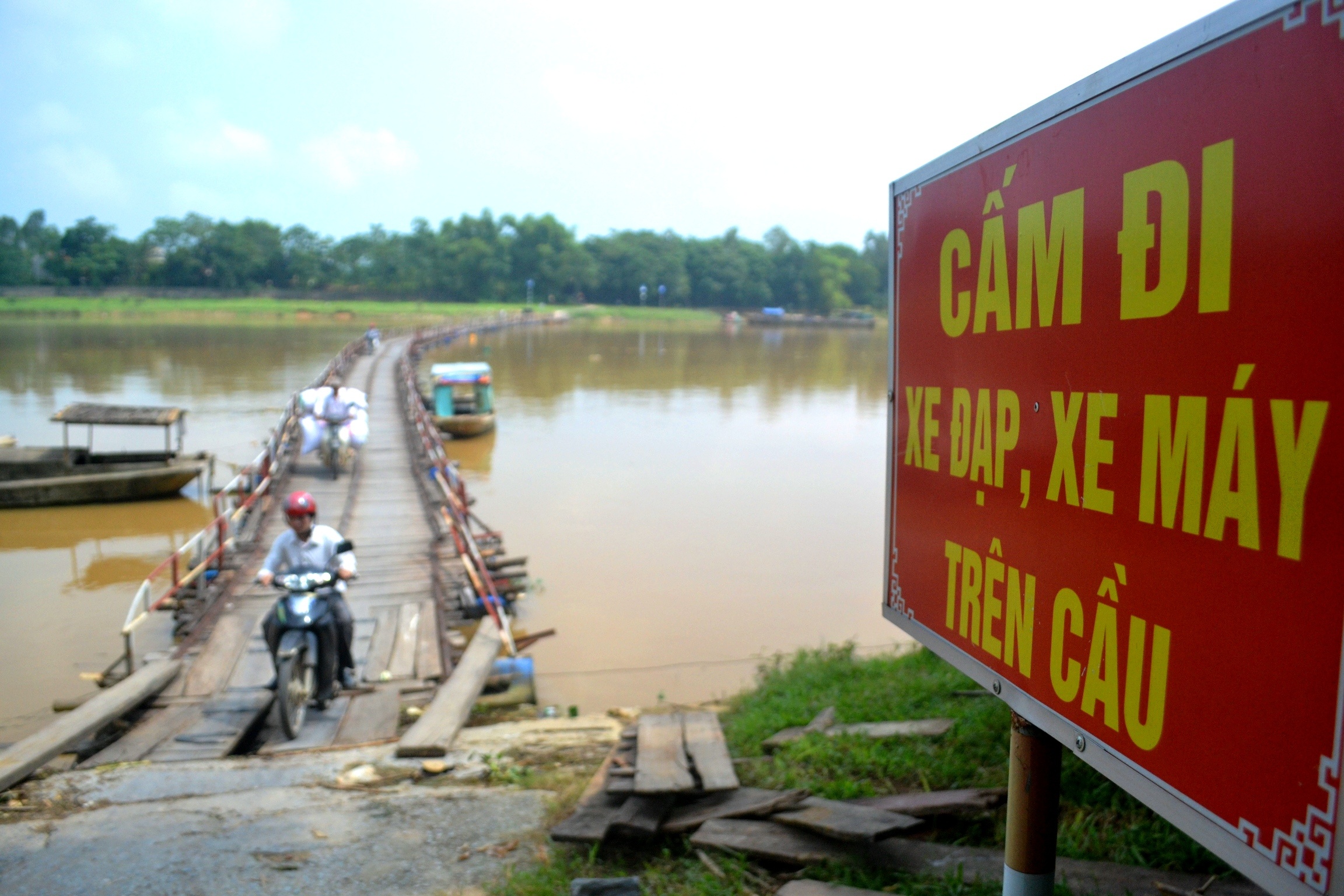 Nguoi dan Thanh Hoa danh du mang song qua cau phao tam hinh anh