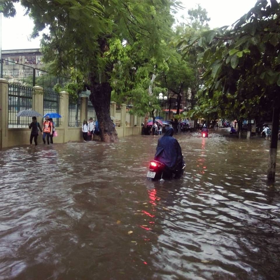 Cụ này can trường nhất ngày hôm nay các cụ ạ.