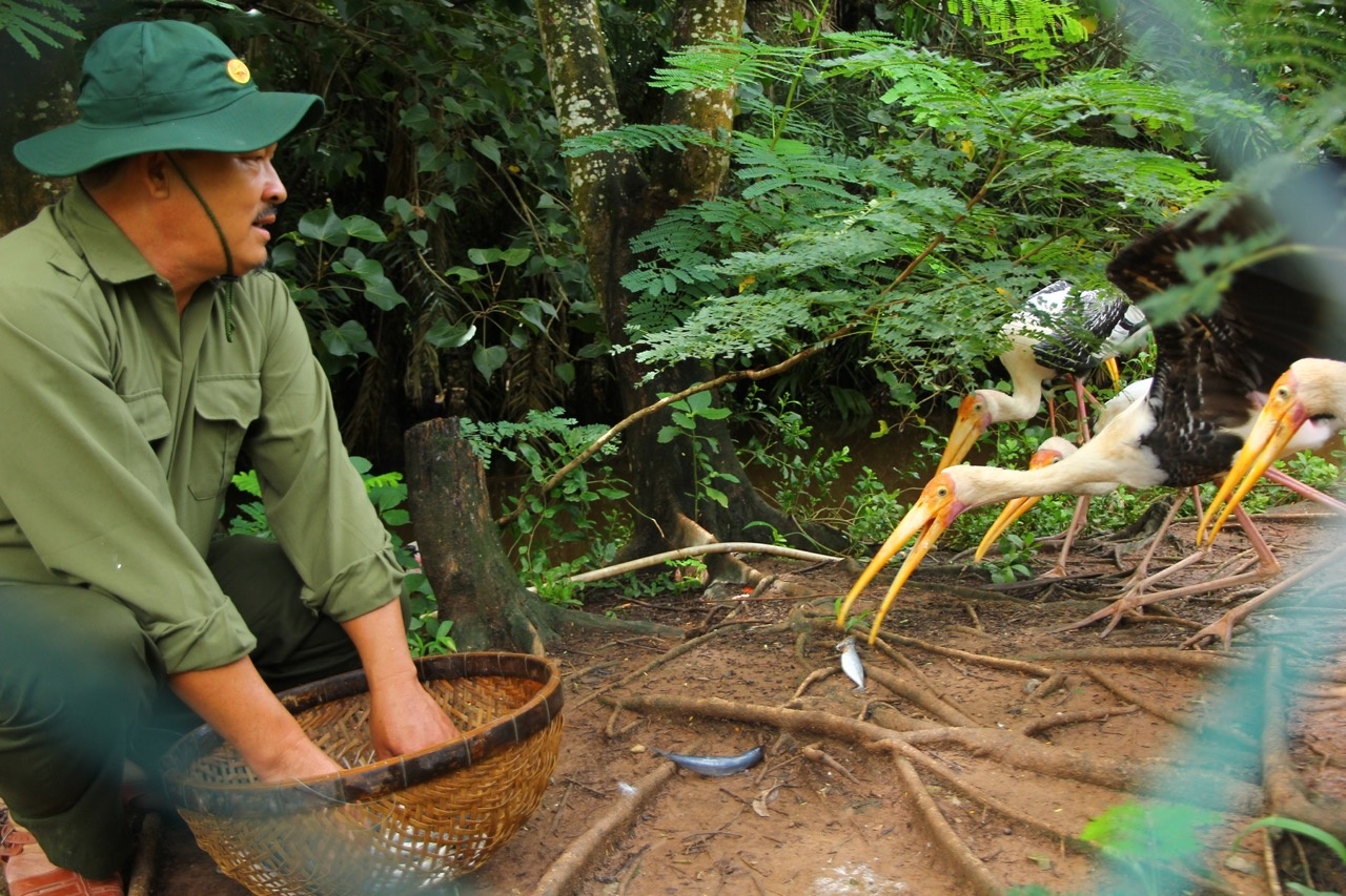 'Su phu' cua chim troi hinh anh