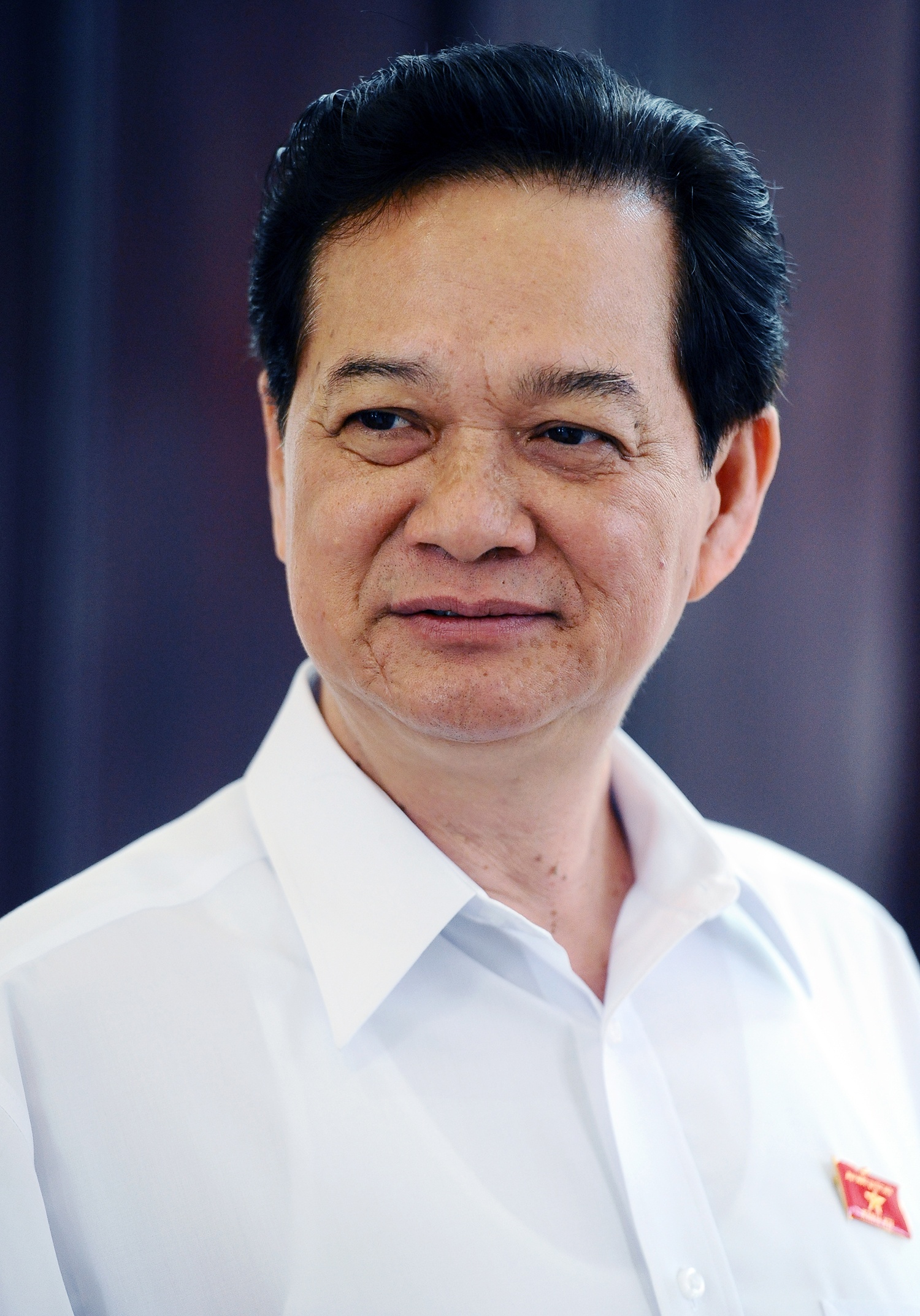 mien nhiem Thu tuong anh 1