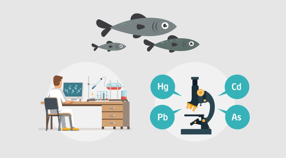 Hai san duoc kiem tra bao dam an toan ra sao? hinh anh