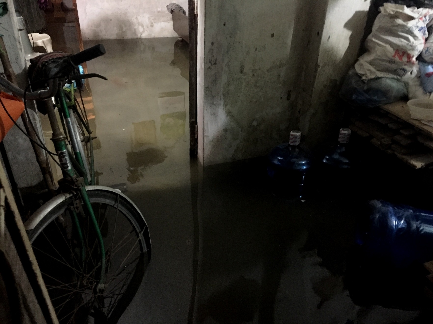 Mua ngap dau mua o Ha Noi anh 12