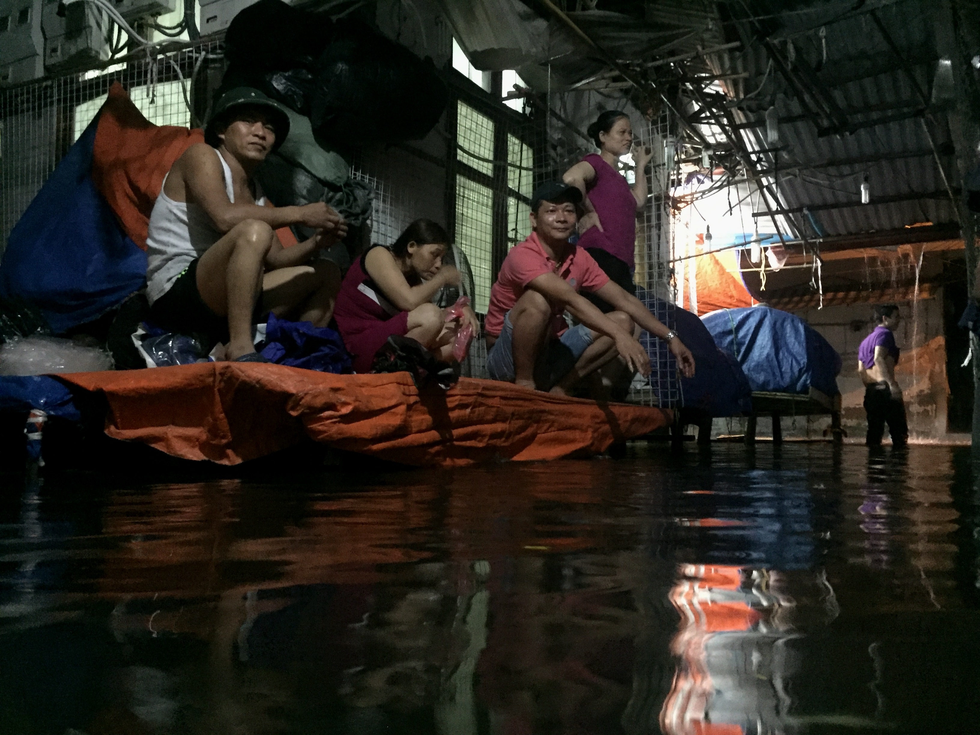 Mua ngap dau mua o Ha Noi anh 2