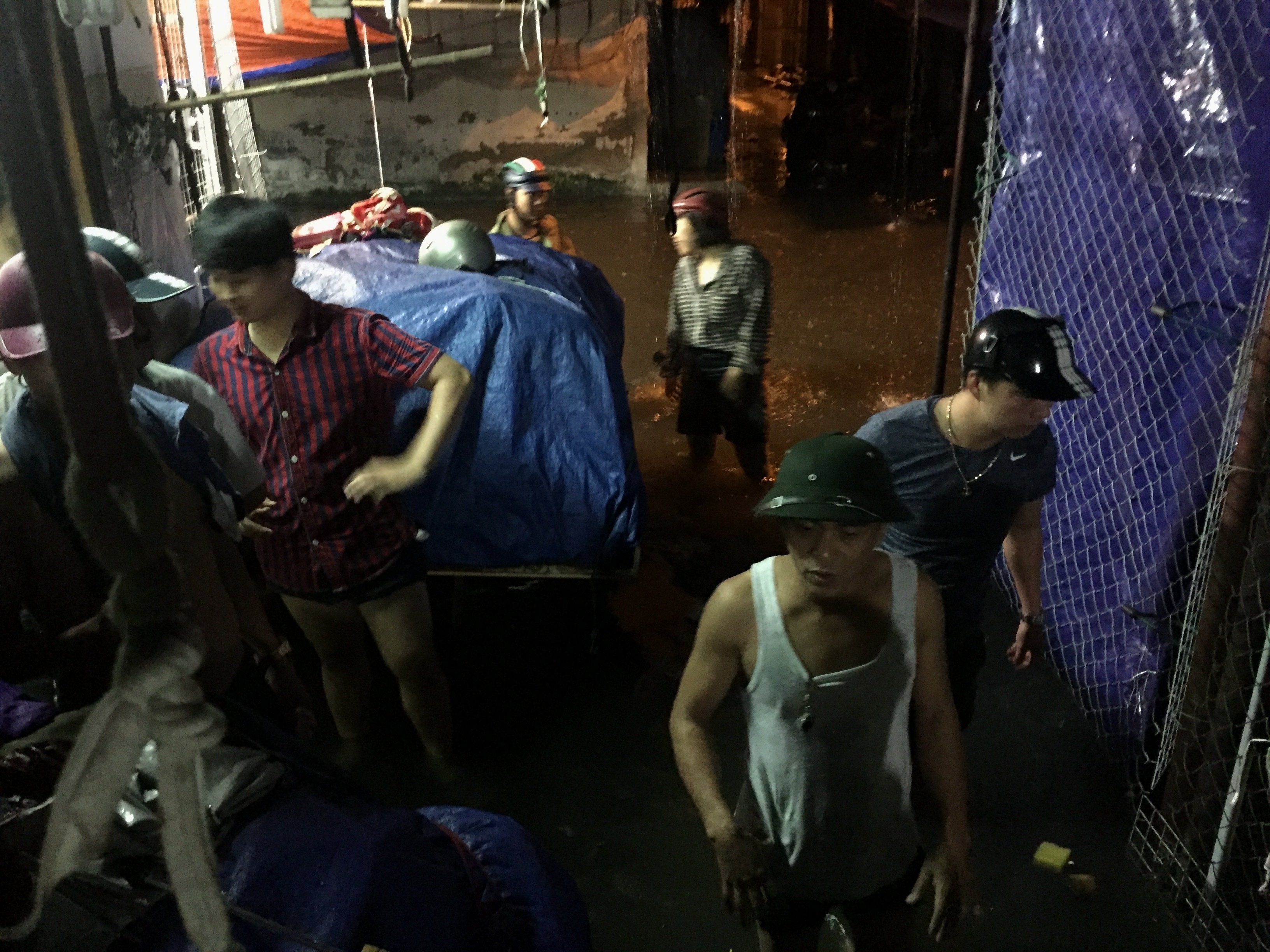 Mua ngap dau mua o Ha Noi anh 3