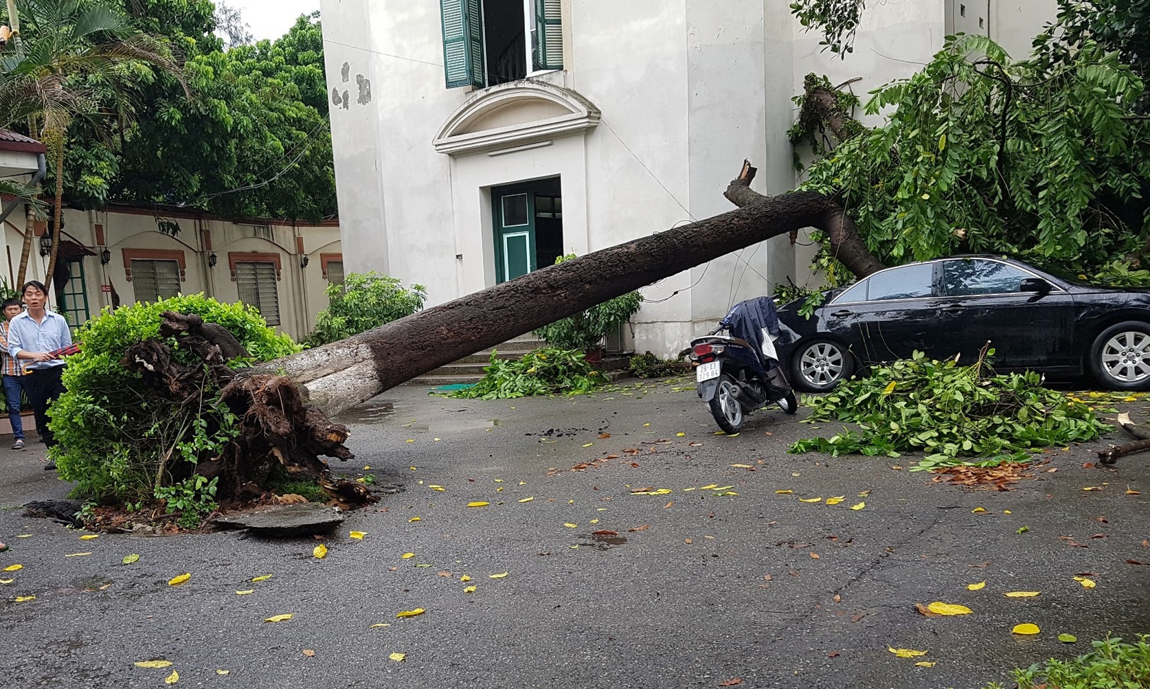 Nhieu tuyen pho ngap sau, cay do sau mua lon o Ha Noi hinh anh