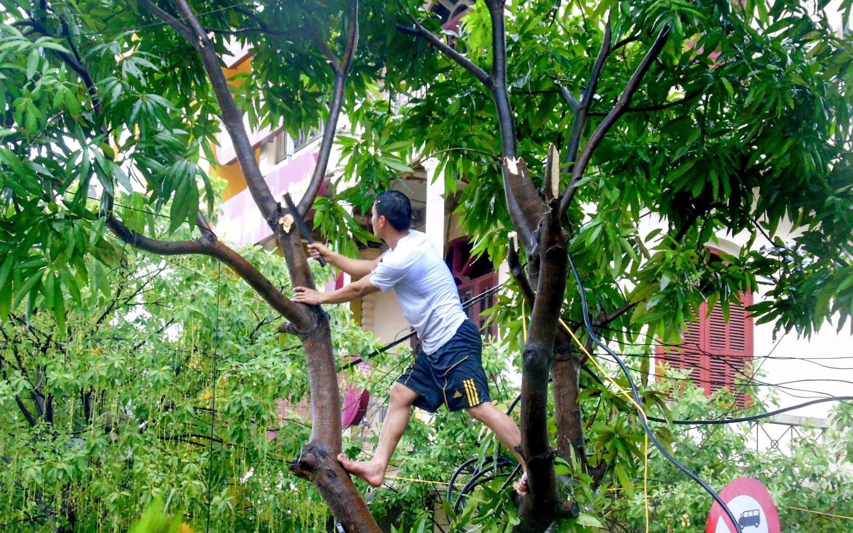 Bao so 4 do bo Quang Tri, suy yeu thanh ap thap nhiet doi hinh anh