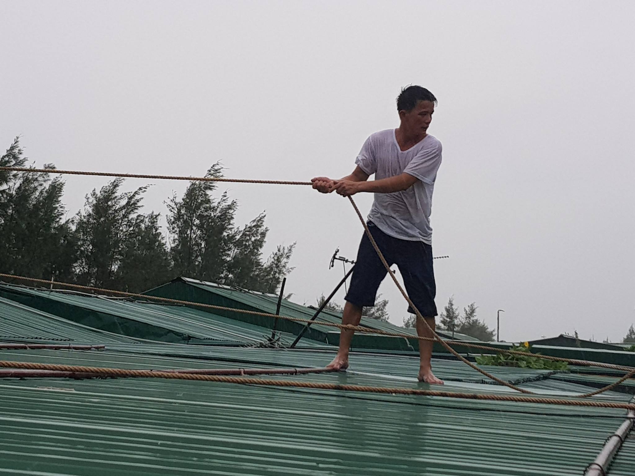 Nguoi dan Cua Hoi chang cheo hang quan, so tan tai san don bao so 10 hinh anh