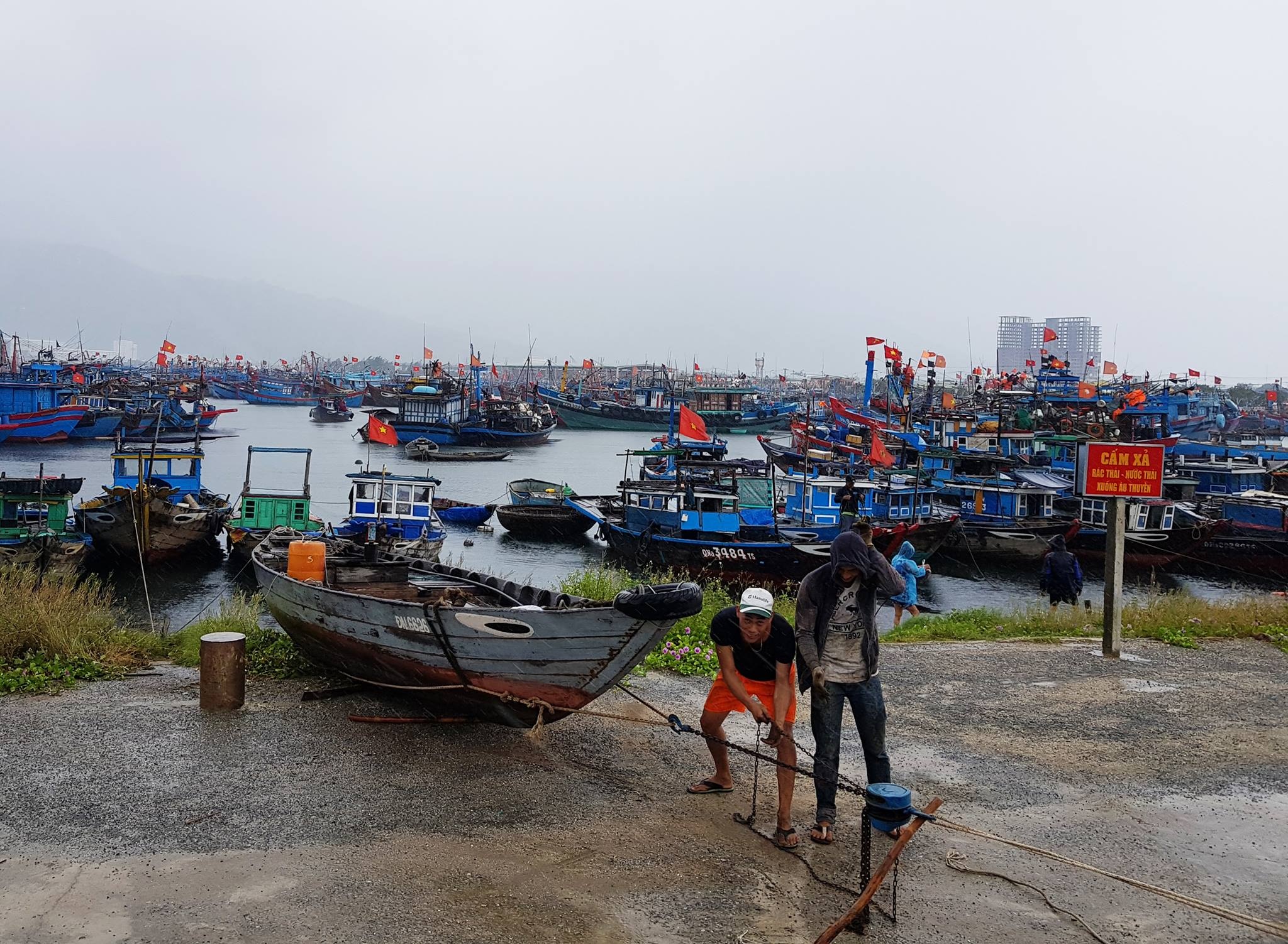 chống bão số 10 ảnh 5 chong bao so 10 anh 5