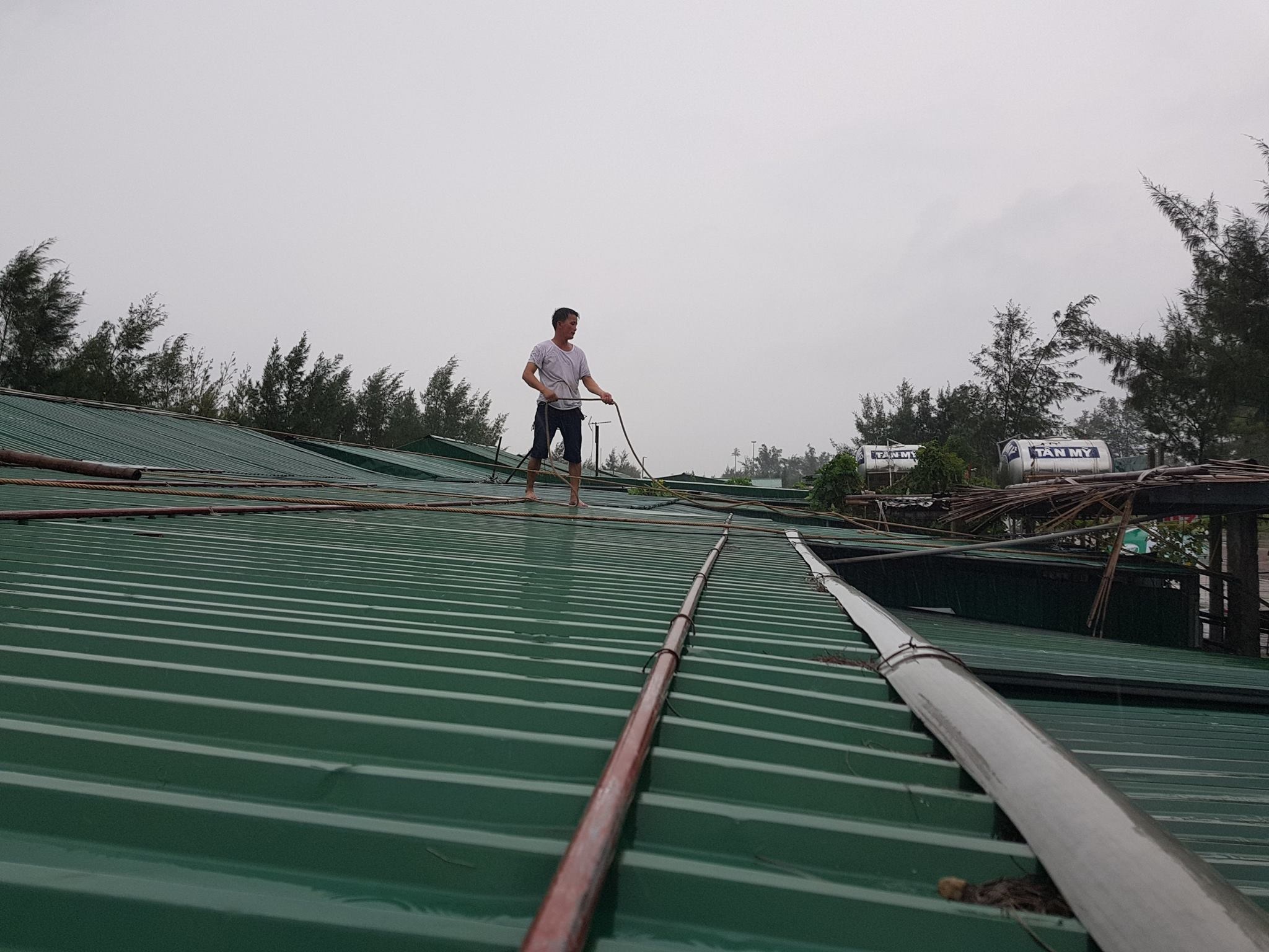 chống bão số 10 ảnh 3 chong bao so 10 anh 3